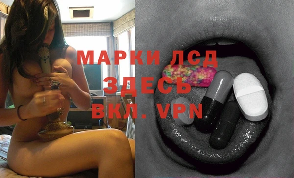 ешки Абаза